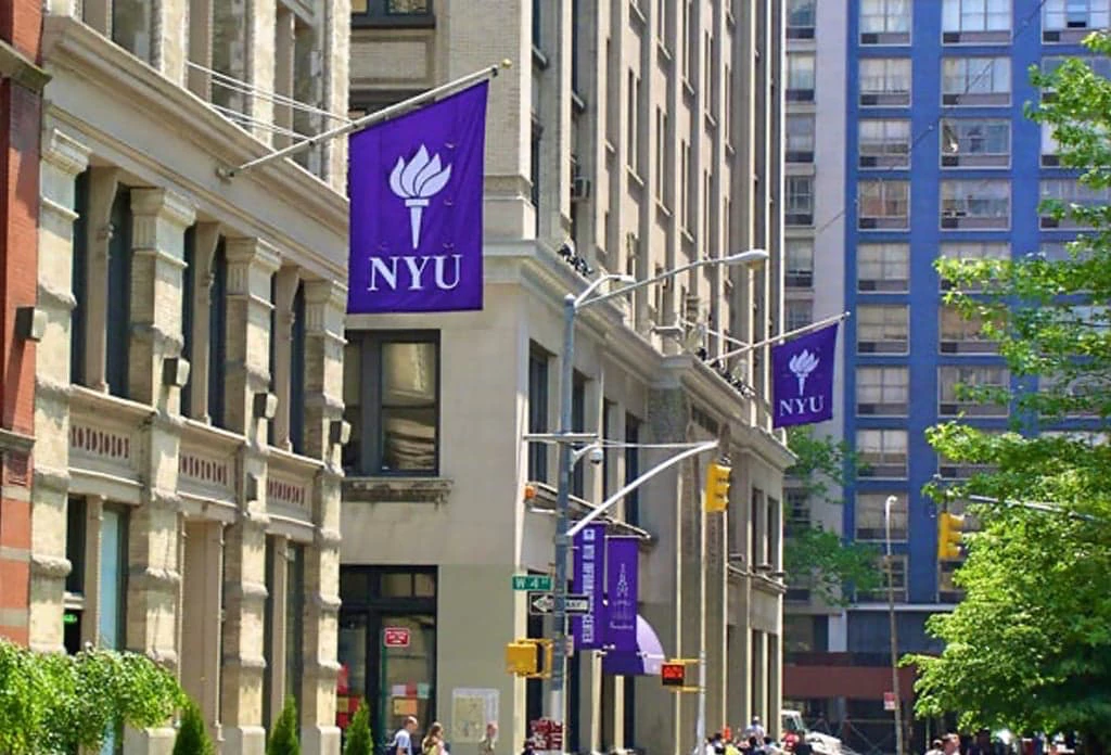 New York University image